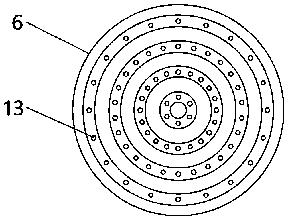 Traditional Chinese medicine seed drying device