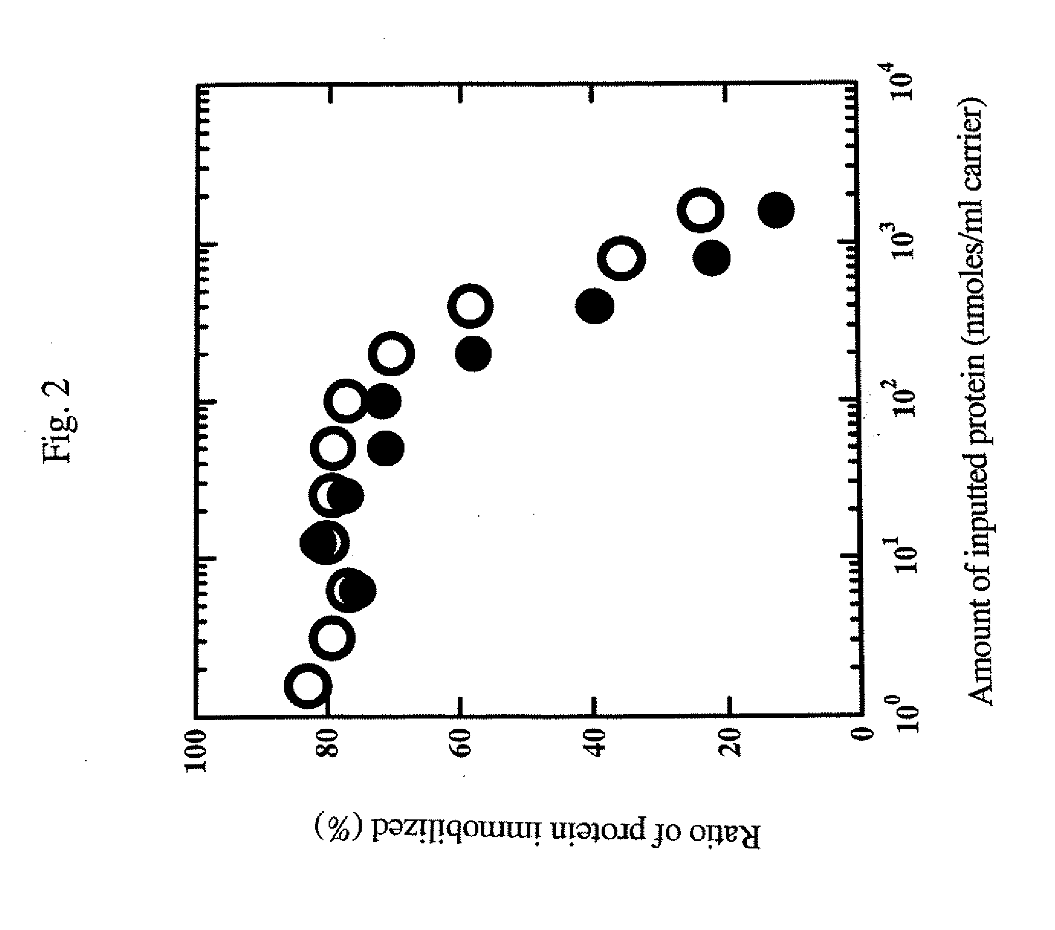 Process for immobilizing orientation-controlled protein and process for arraying and immobilizing protein using the same