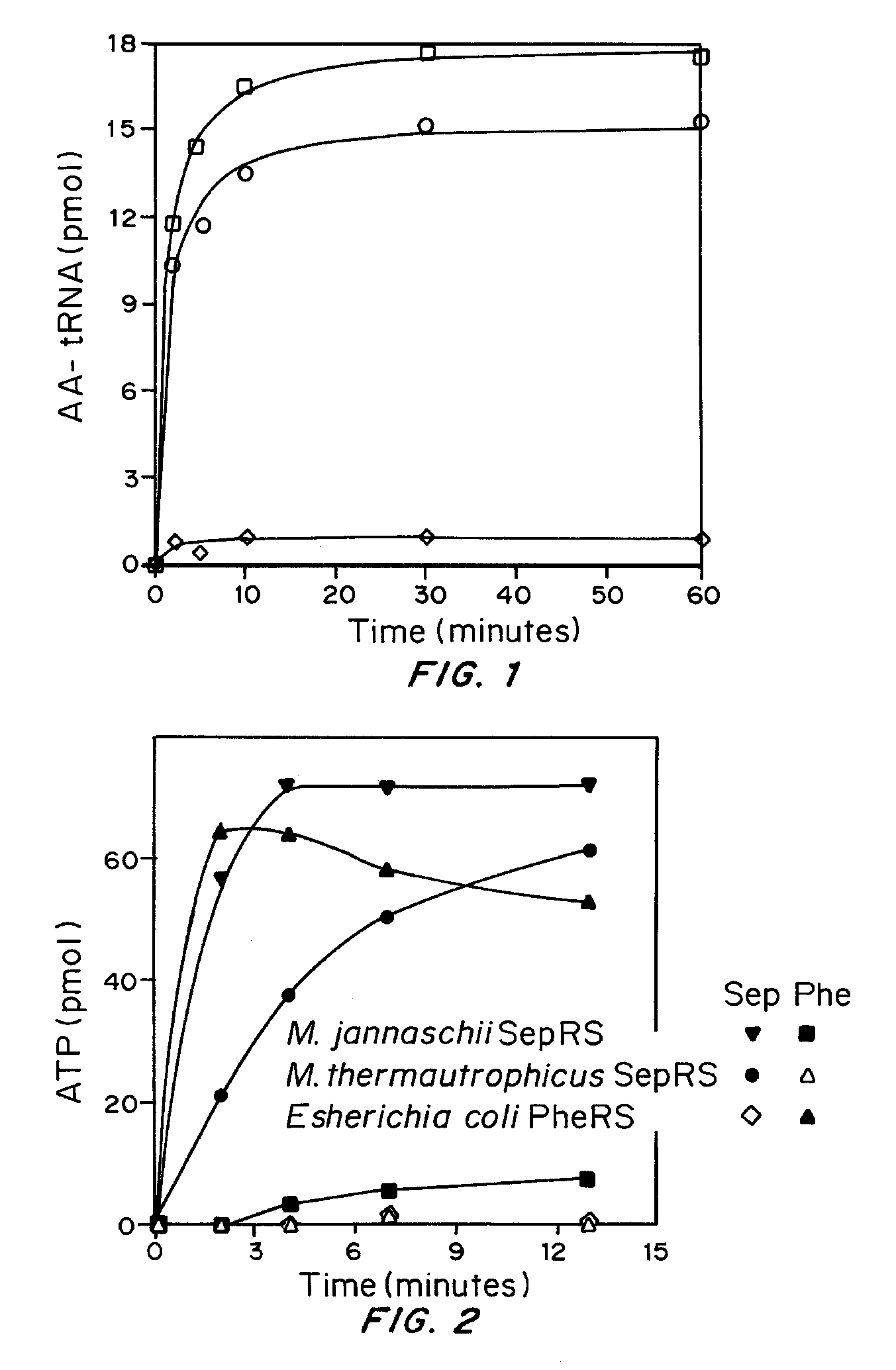 Site specific incorporation of phosphoserine into polypeptides using phosphoseryl-tRNA synthetase