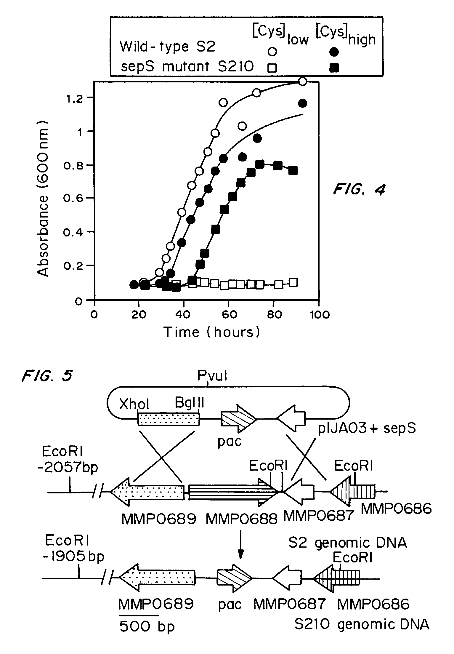 Site specific incorporation of phosphoserine into polypeptides using phosphoseryl-tRNA synthetase