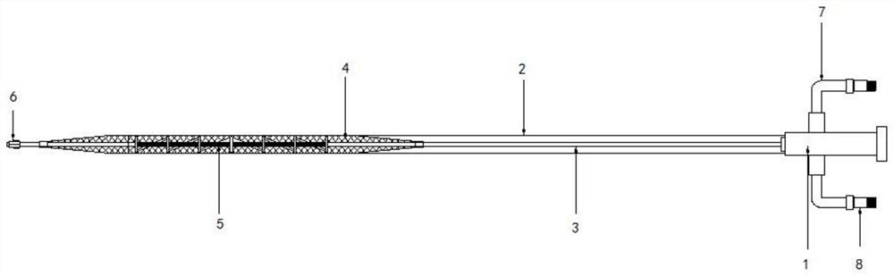 Drug coating balloon dilatation catheter for intracranial blood vessel