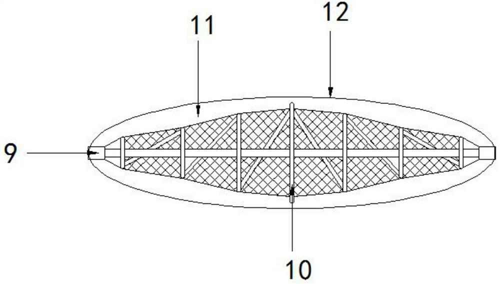 Drug coating balloon dilatation catheter for intracranial blood vessel