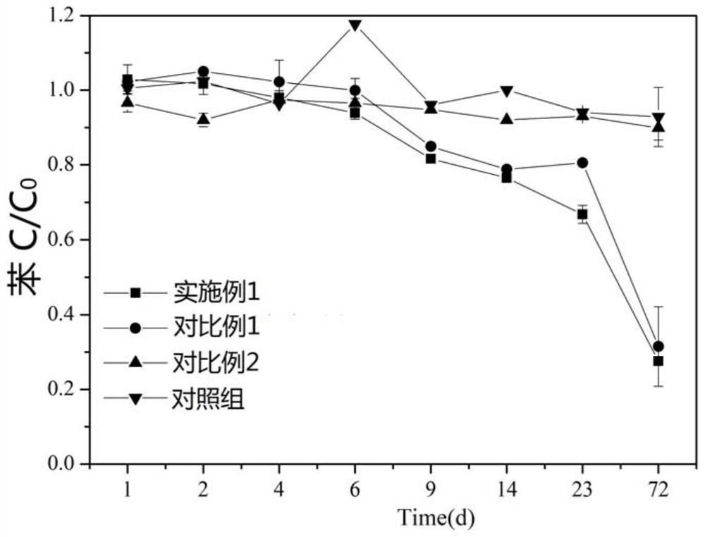 Medicament for fixing and reducing benzene series and preparation method and application thereof