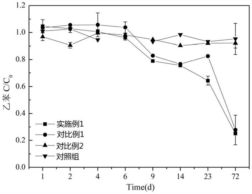 Medicament for fixing and reducing benzene series and preparation method and application thereof