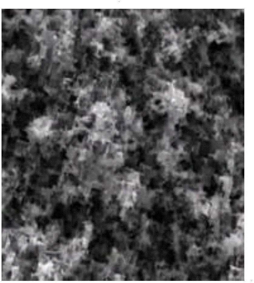 Composite hydrochloric acid lysozyme vagina tablet and preparation method thereof