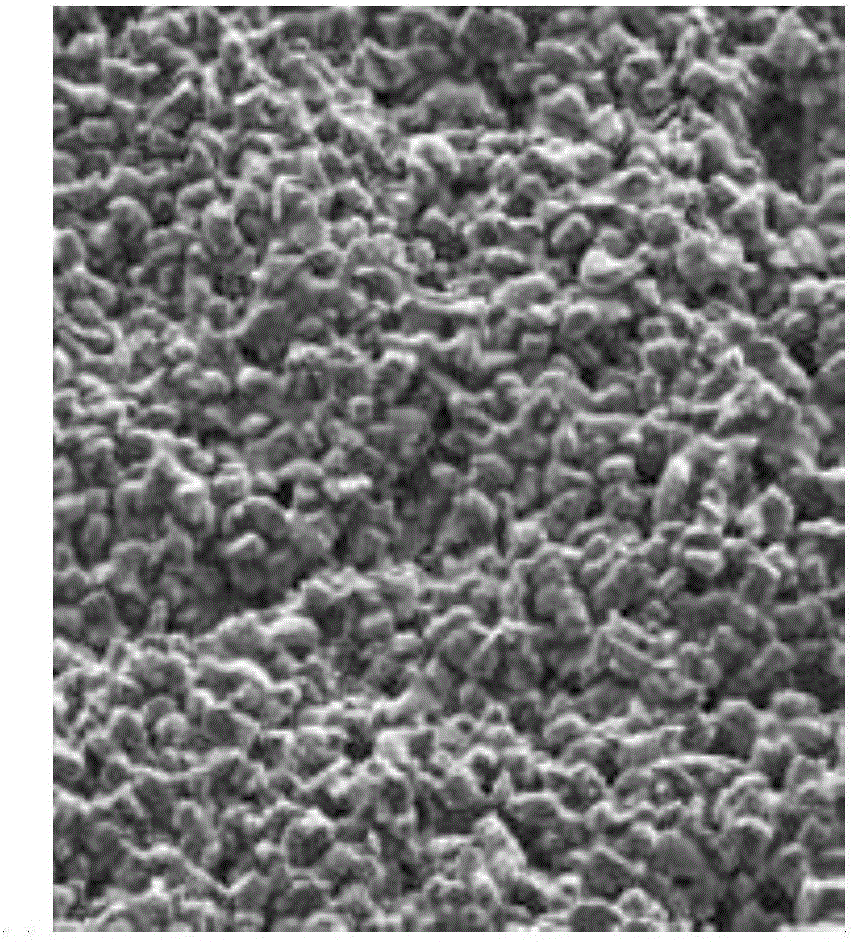 Composite hydrochloric acid lysozyme vagina tablet and preparation method thereof