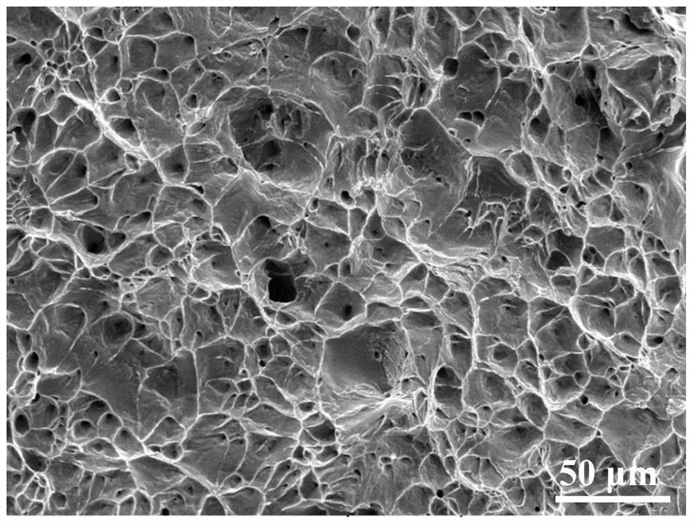 TiC reinforced low-density niobium alloy and structure-controllable laser three-dimensional forming method thereof