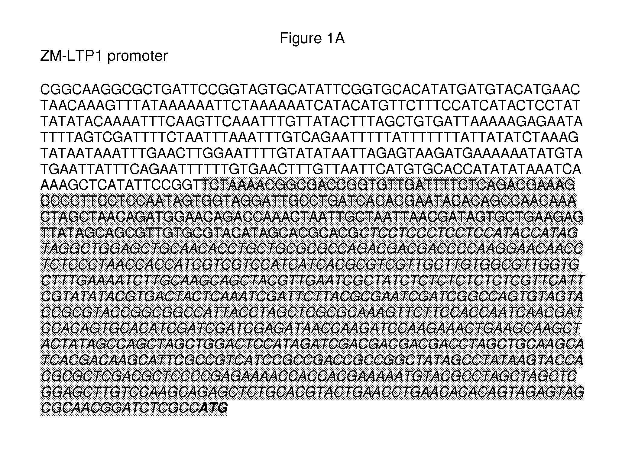 Pericarp-preferred regulatory element