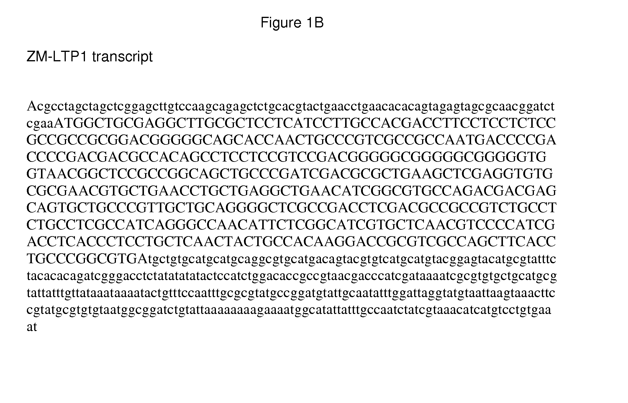 Pericarp-preferred regulatory element