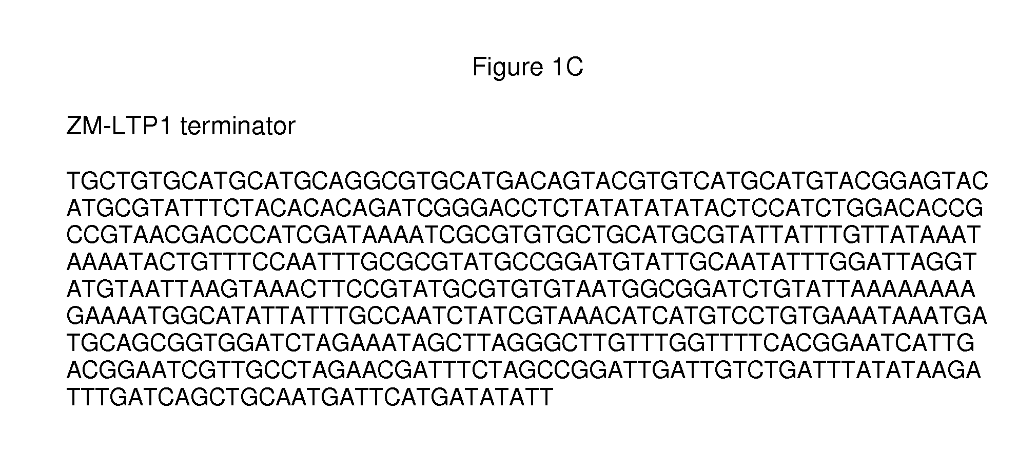 Pericarp-preferred regulatory element