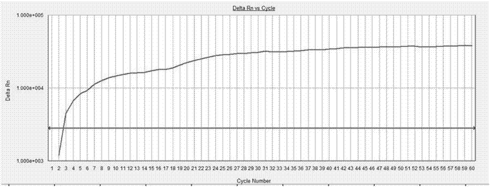 Taq DNA polymerase activity detection method