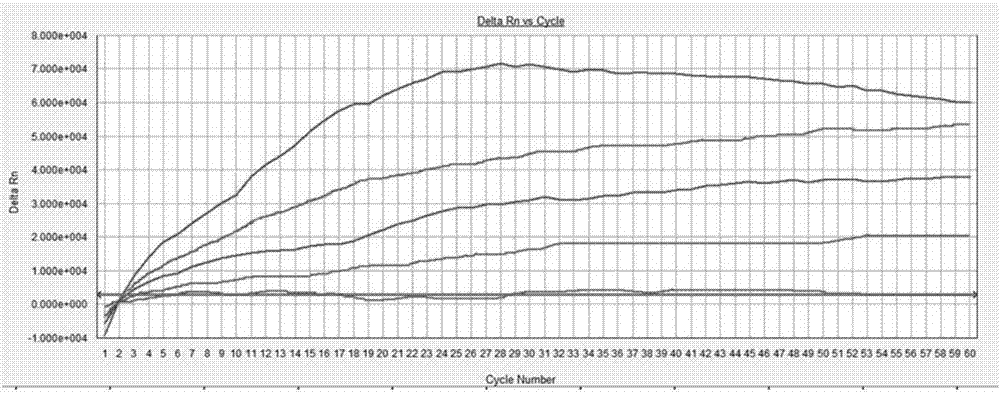 Taq DNA polymerase activity detection method