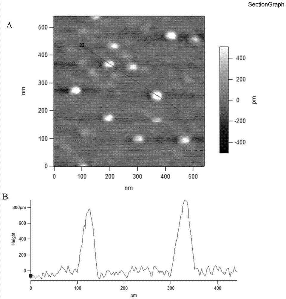 A kind of preparation method of electronegative monolayer graphene