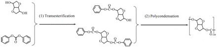 A method for synthesizing bio-based polycarbonate based on isoidide and polycarbonate