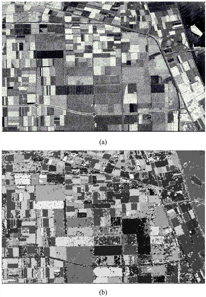 Polarized SAR image classifying method based on sparse automatic encoder