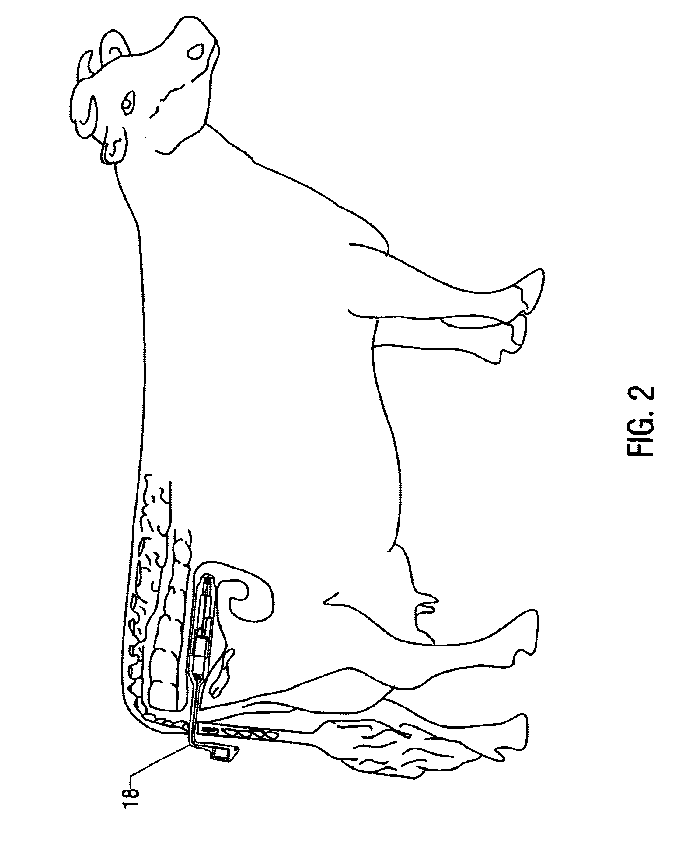 Apparatus and method for detection of estrus and/or non-pregnancy