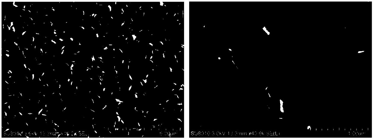 A method for preparing cathode material agcuo2 by anodic oxidation electrodeposition