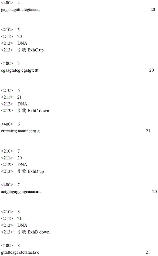 Composition for treating piglet staphylococcal exudative epidermitis