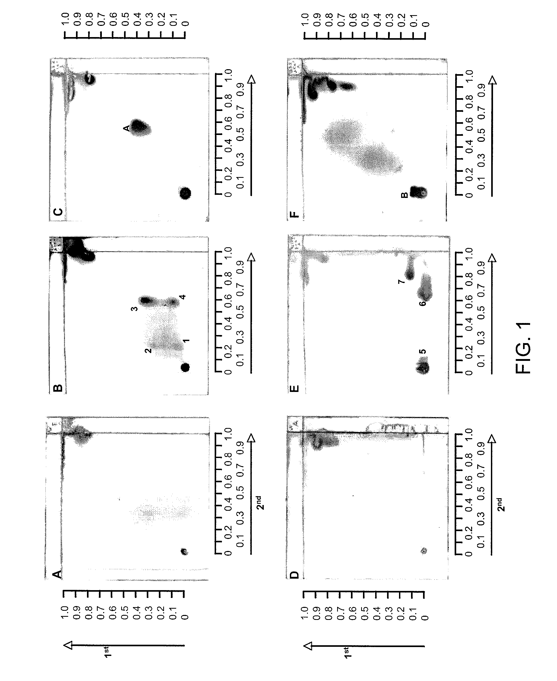 Identification of bacterial species and subspecies using lipids