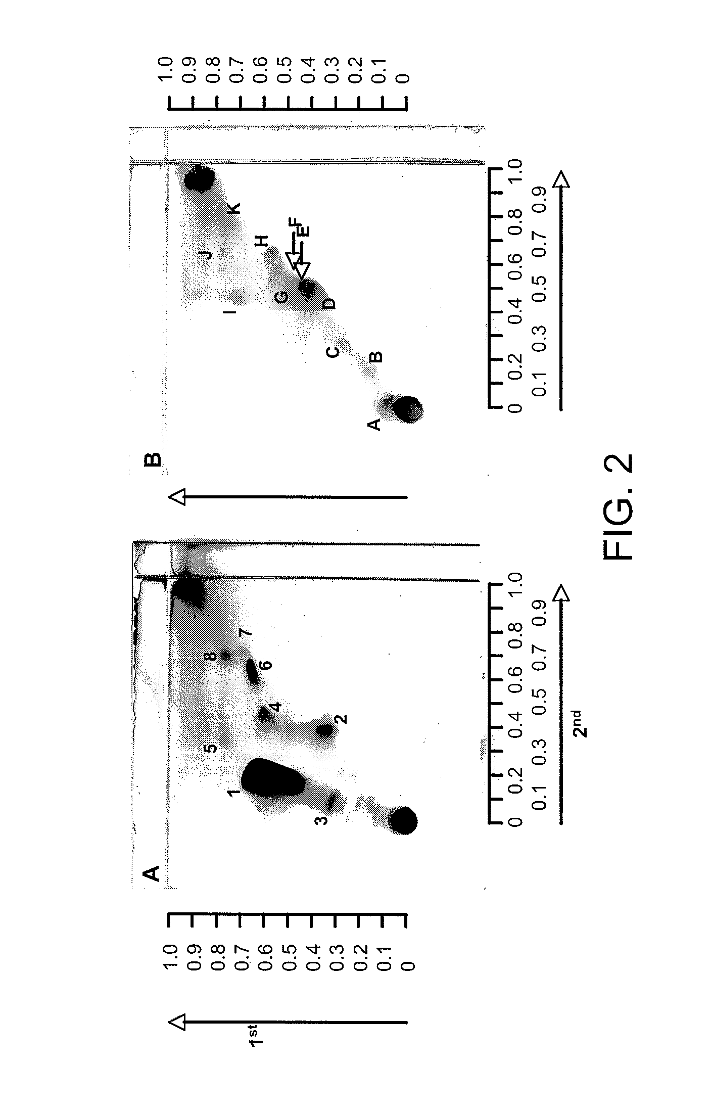 Identification of bacterial species and subspecies using lipids