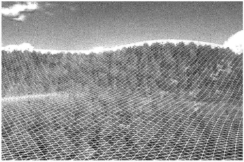 The method of preventing and controlling pine wood nematode disease through the prediction and mass capture of monochamus and monochamus monochamus