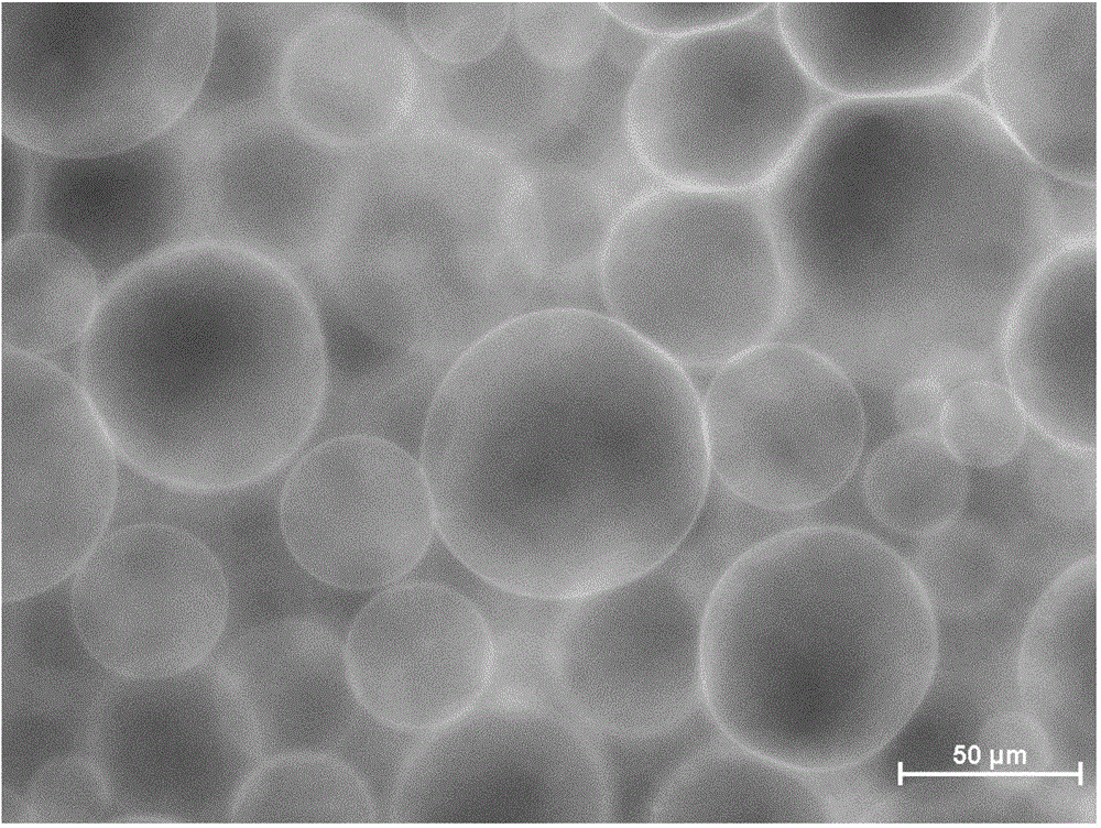 Method used for simultaneous preparation of phospholipid microtubule and vesicle using point-plane electrode electric field