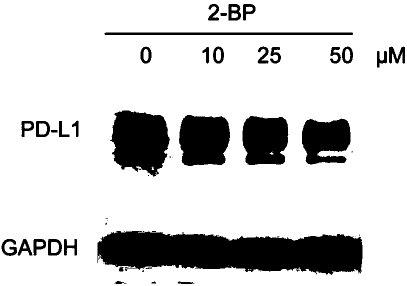 PD-L1 inhibitor and preparation method thereof