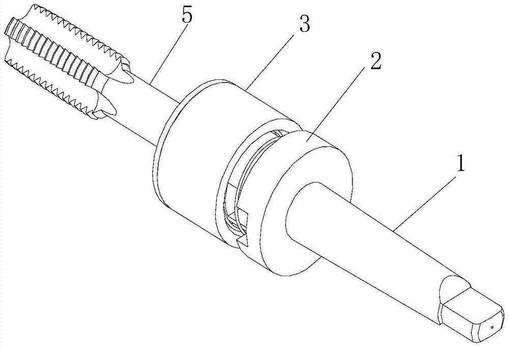 Flexible tap chuck structure assembly