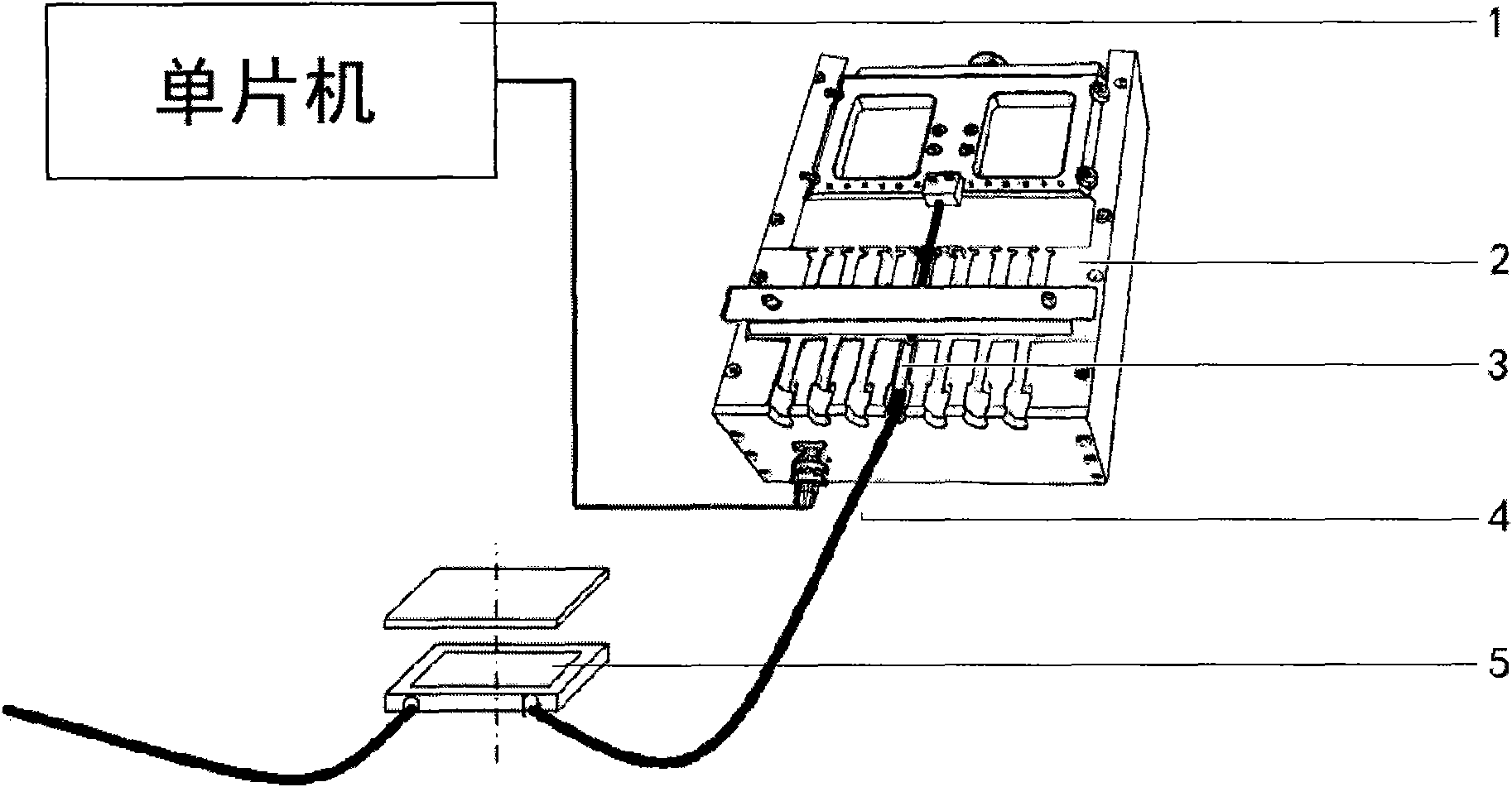 Device for applying oscillatory constant fluid shearing force to anchorage-dependent cells