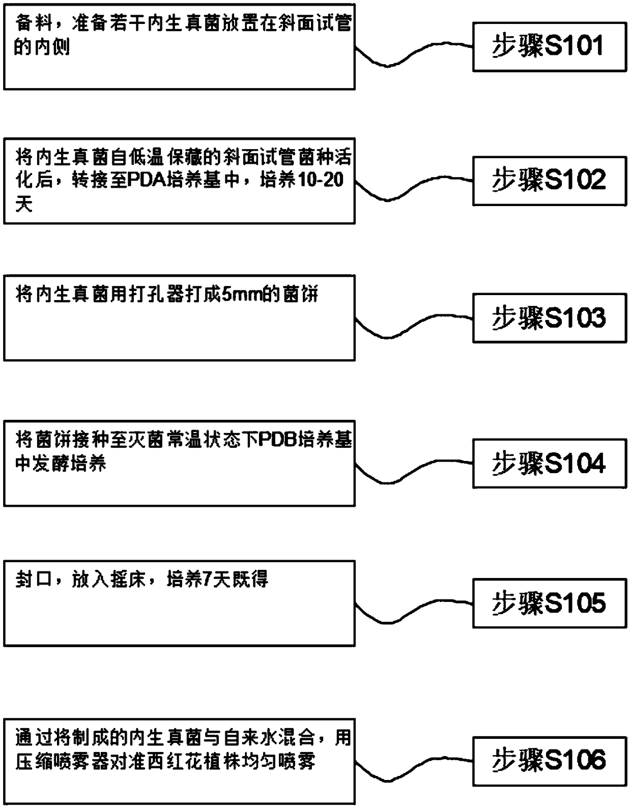 Application method of biological bacterial fertilizer for improving saffron yield in cultivation