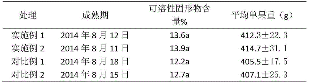 Planting method for improving sugar content of Fengshui pears