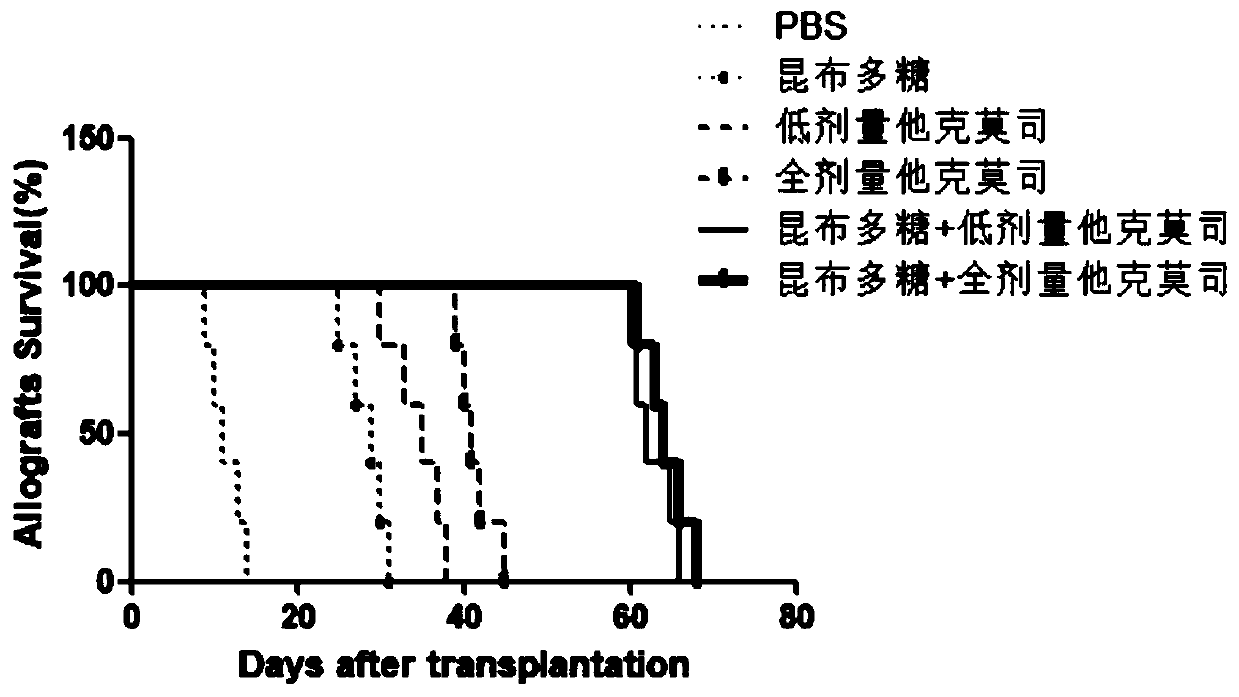 Application of pattern recognition receptor Dectin-1 inhibitor in immune protection and immune tolerance induction of receptor grafts