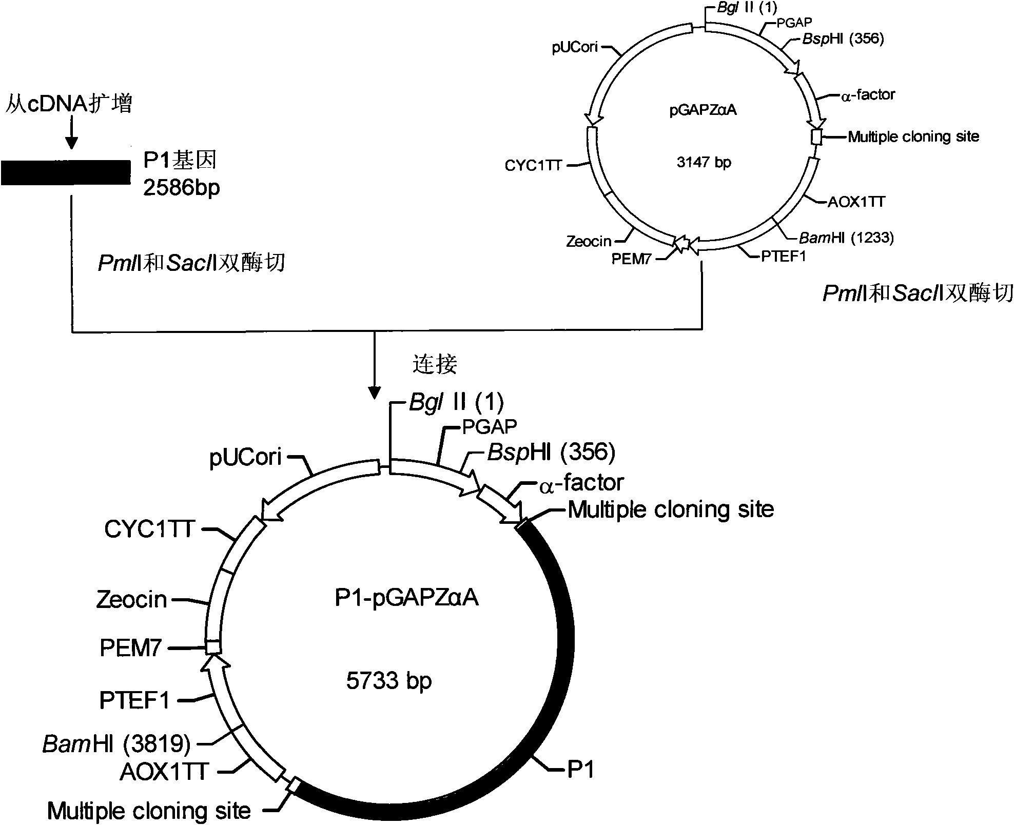 EV71 virus-like particles and hand-foot-and-mouth disease vaccine prepared from EV71 virus-like particles