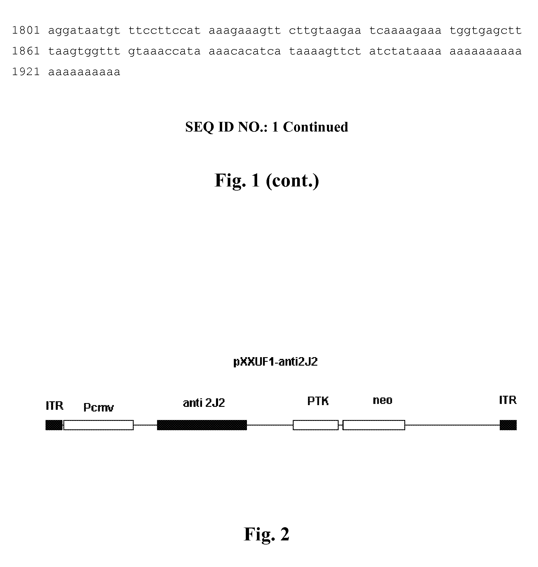 Recombinant adeno-associated virus expressing human antisense gene CyP2J2 and its preparation methods