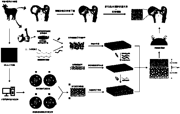 Composite scaffold for hip articular cartilage repair and preparation method of composite scaffold