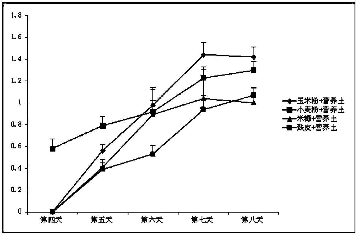 A kind of Penicillium xfsf-8 strain for preventing and treating tobacco bacterial wilt and its application