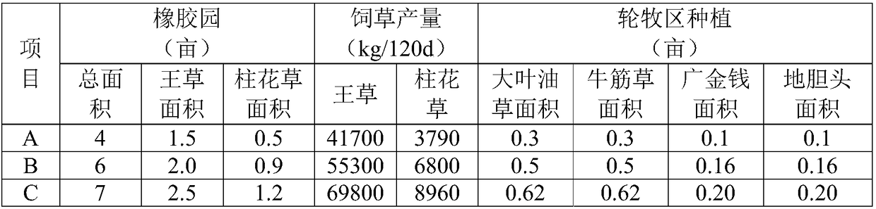 Healthy farming method combining rubber forest planting with Bailian goose breeding