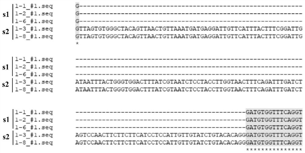 Cloning, identification and application of salt tolerance related gene spliceosome