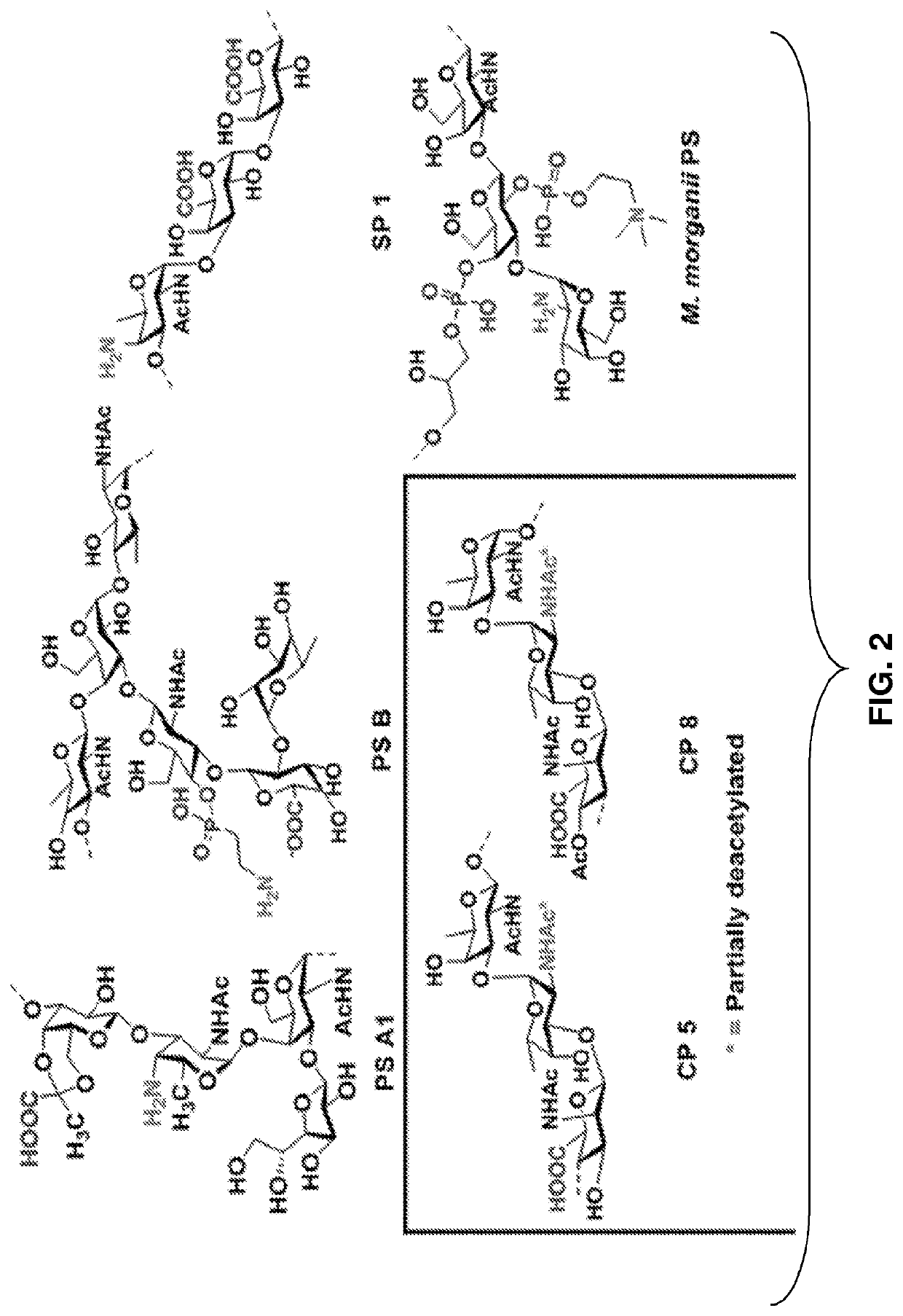 Monoclonal igm antibodies from entirely carbohydrate constructs