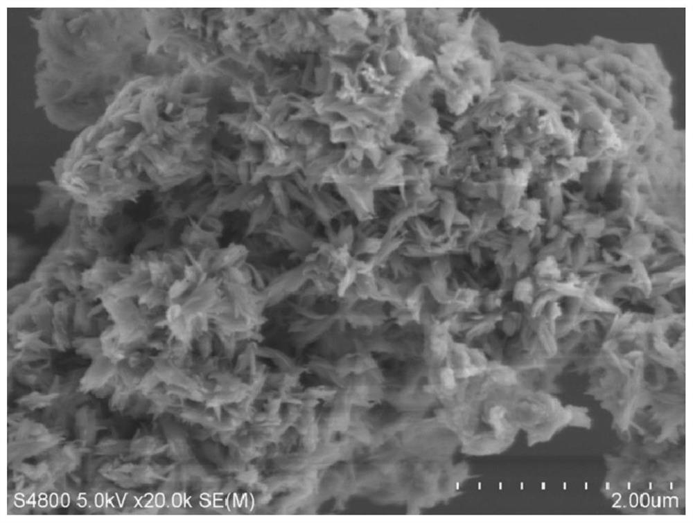 Lily-shaped tungsten nitride/tungsten oxycarbide composite material and its preparation method and application