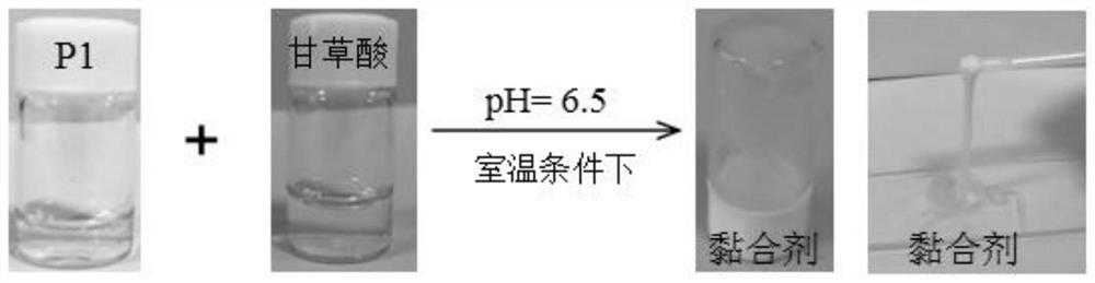 A kind of composite water-based adhesive formed by polypeptide and glycyrrhizic acid and preparation method thereof