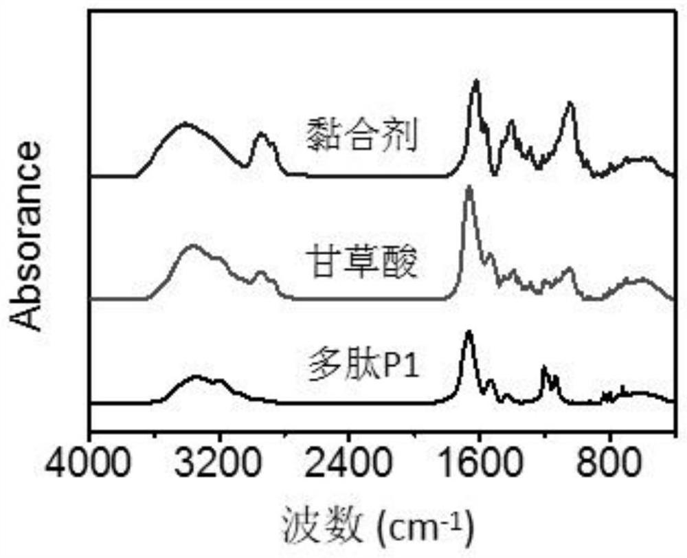 A kind of composite water-based adhesive formed by polypeptide and glycyrrhizic acid and preparation method thereof