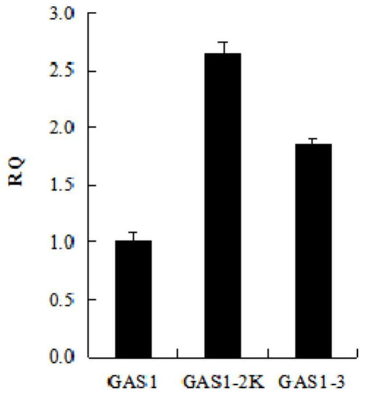 A modified signal peptide that guides the secretion and expression of thermostable mannanase, recombinant plasmid, genetically engineered bacteria, production method and application