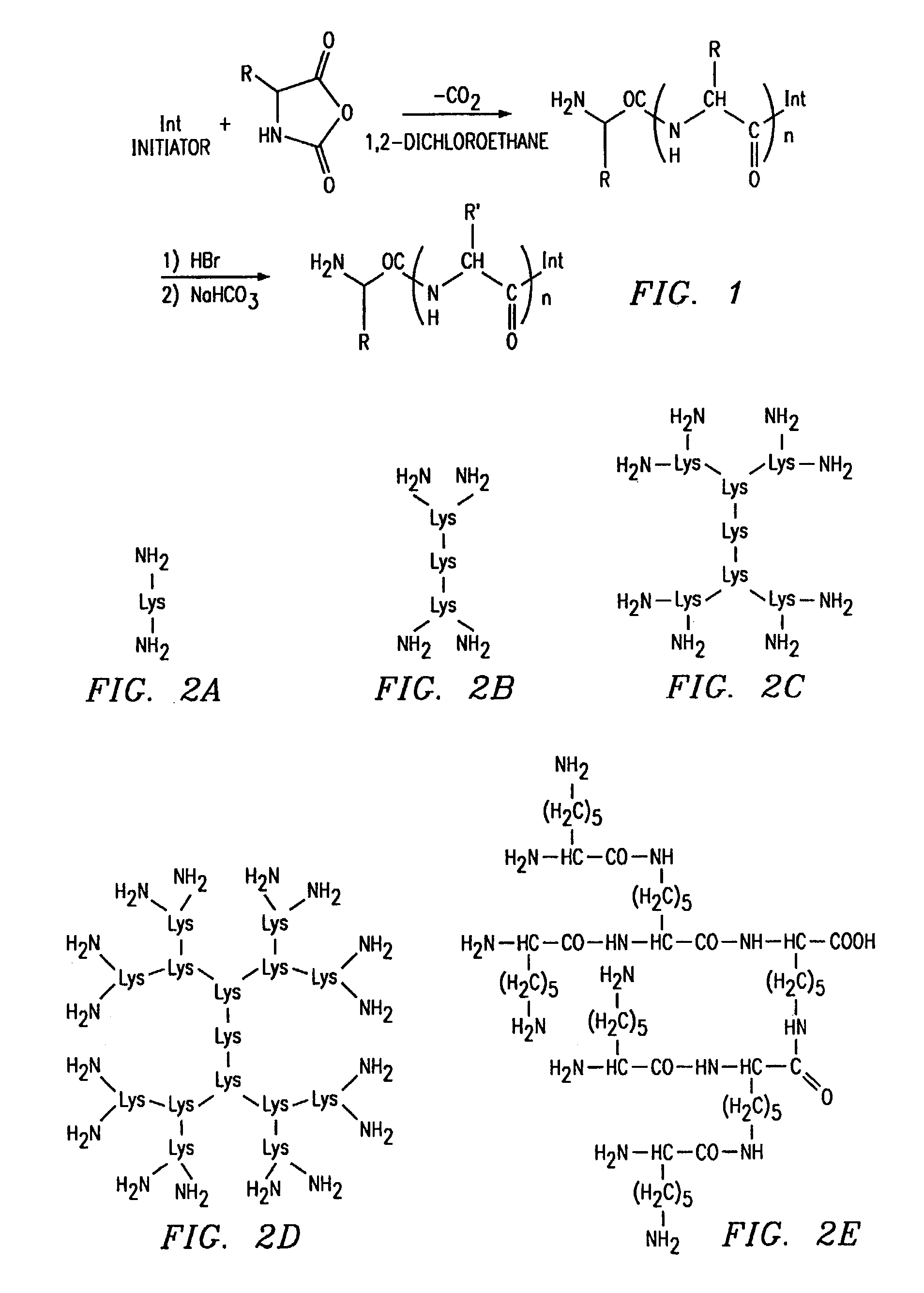 Dendritic poly (amino acid) carriers and methods of use