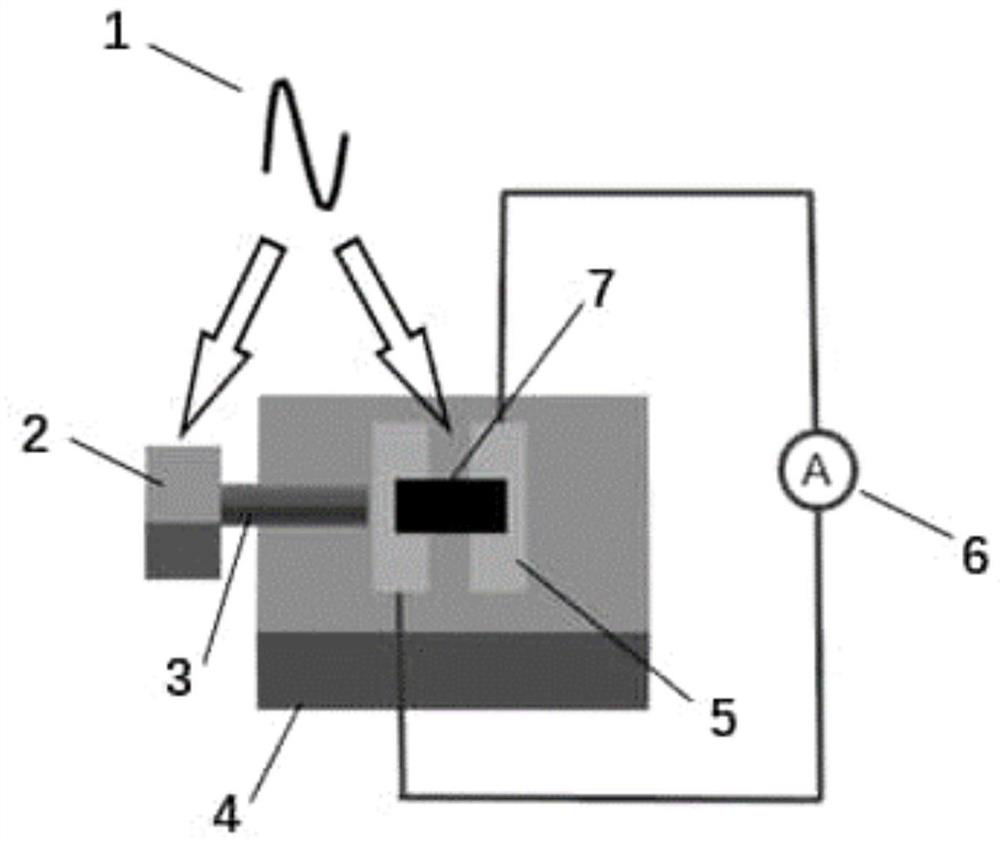 Coherent near-field detection system based on free electron excitation and photoelectric detection