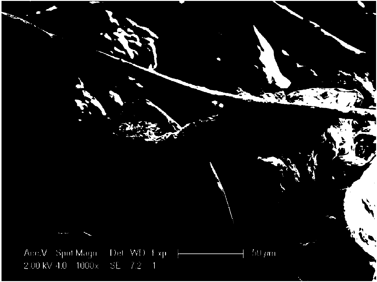 Electrode loading with composite oxide magnetic nanowire and carbon nanotube and its preparation and application