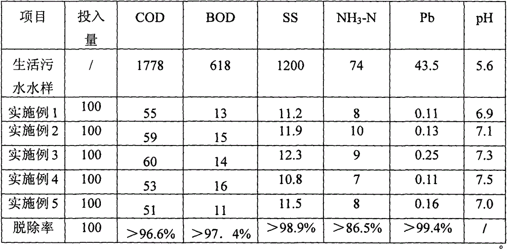 A kind of domestic sewage treatment agent and preparation method thereof