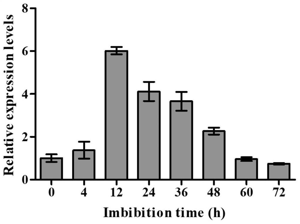 Application of Rice Auxin Responsive Genes