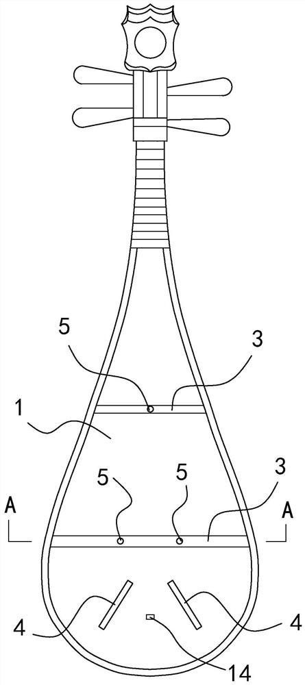 Double-sound-beam lute