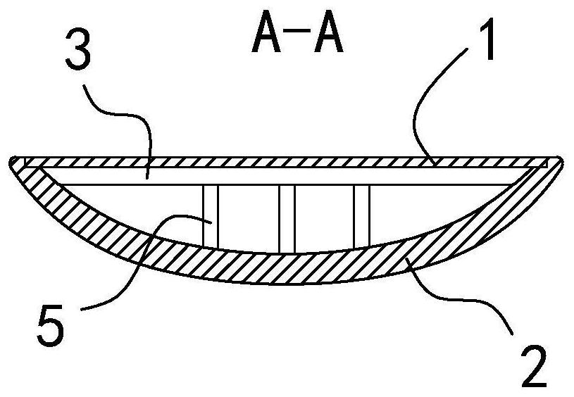 Double-sound-beam lute